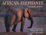 African Elephants A Photographic Celebration