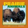 Prairie Animals Explore the Fascinating Worlds of