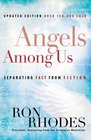 Angels Among Us Separating Fact from Fiction
