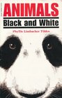 Animals Black and White