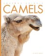 Amazing Animals Camels