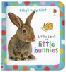 Baby's Very First Little Book of Little Bunnies