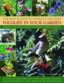 The Best Plants to Attract and Keep Wildlife in Your Garden Making a backyard home for animals birds  insects encourage creatures into your garden  friendly plants shown in 400 photographs