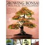 Growing Bonsai a Practical Encyclopedia