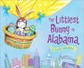 The Littlest Bunny in Alabama An Easter Adventure