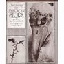 Discovering the American stork