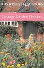 Cottage Garden Flowers