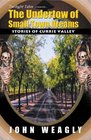 The Undertow of Small Town Dreams  Stories of Currie Valley