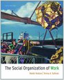 The Social Organization of Work