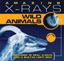 Amazing Xrays Wild Animals