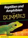 Reptilien Und Amphibien Fur Dummies