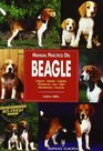 Manual Practico Del Beagle/ Guide to Owning a Beagle