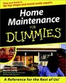 Home Maintenance for Dummies