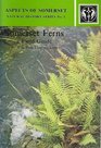 Somerset Ferns A Field Guide