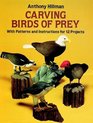 Carving Birds of Prey  With Patterns and Instructions for 12 Projects