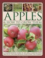 Apples  How to Grow Them A Comprehensive Guide To 400 Apple Varieties With Practical Tips For Growing Harvesting And Storing