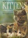 All Color Book of Kittens