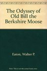 The Odyssey of Old Bill the Berkshire Moose