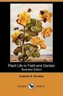 Plant Life in Field and Garden