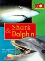 Shark and Dolphin