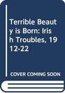 A Terrible Beauty Is Born Irish Troubles 191222