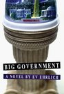 Big Government A Novel