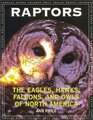 Raptors  The Eagles Hawks Falcons and Owls of North America