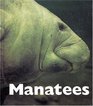 Manatees