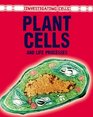 Plant Cells  Life Processes