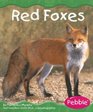 Red Foxes (Grassland Animals)