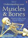 Understanding Your Muscles  Bones A Guide to What Keeps You Up and About
