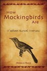 How Mockingbirds Are O'odham Ritual Orations
