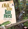 A Walk in the Rain Forest