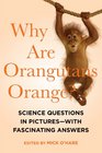 Why Are Orangutans Orange Science Questions in Pictures  with Fascinating Answers