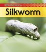 Silkworm 2nd Edition