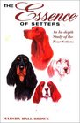 The Essence of Setters  A Study of English Gordon Irish and Red and White Setters