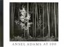 Ansel Adams at 100  A Postcard Folio Book