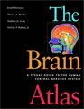 The Brain Atlas