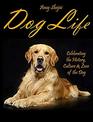 Dog Life Celebrating the History Culture  Love of the Dog
