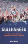 Gullhanger Or How I Learned to Love Brighton and Hove Albion