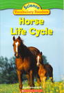 Horse Life Cycle