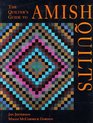 The Quilter's Guide to Amish Quilts