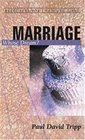 Marriage: Whose Dreams (Resources for Changing Lives)