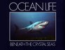 Ocean Life Beneath the Crystal Seas