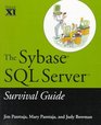 The Sybase SQL Server Survival Guide