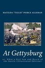 At Gettysburg; or, What a Girl Saw and Heard of the Battle (Illustrated Edition)