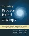 Learning ProcessBased Therapy A Skills Training Manual for Targeting the Core Processes of Psychological Change in Clinical Practice