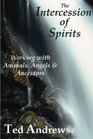 The Intercession of Spirits Working With Animals Angels  Ancestors