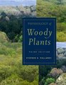 Physiology of Woody Plants Third Edition
