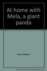 At home with Mela a giant panda